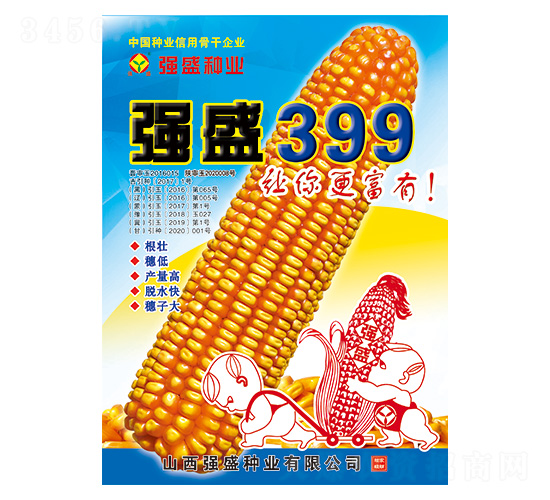 強(qiáng)盛399-玉米種子-強(qiáng)盛種業(yè)