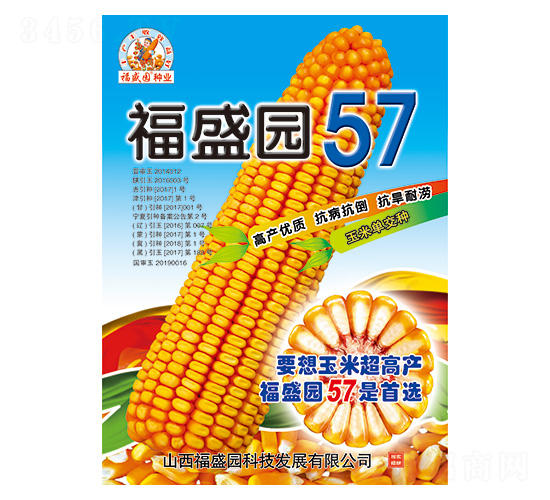 福盛園57-玉米種子-強盛種業(yè)