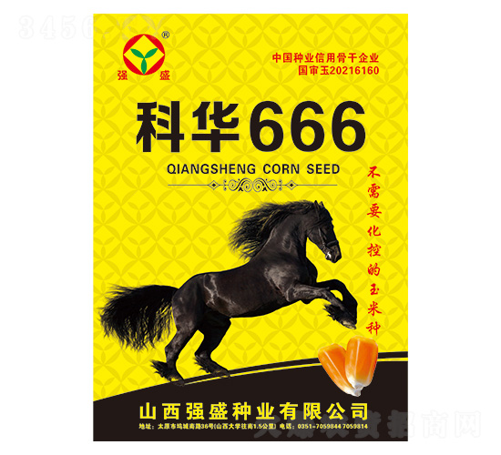 科華666-玉米種子-強(qiáng)盛種業(yè)