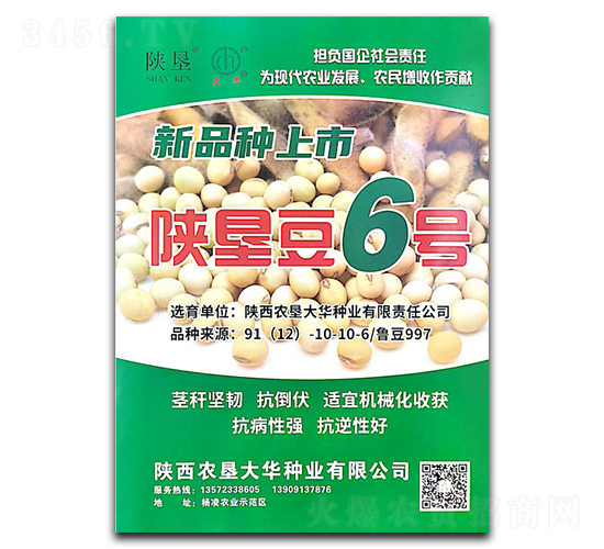 陜墾豆6號-大豆種子-陜墾大華