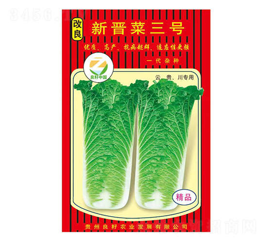 白菜種子-改良新晉菜三號(hào)-良籽農(nóng)業(yè)