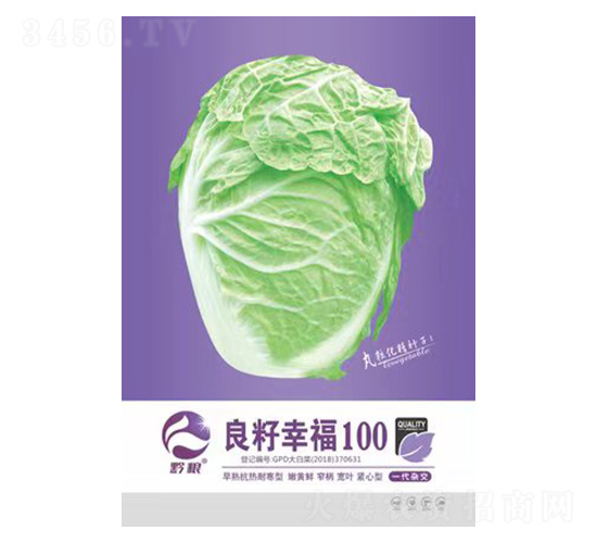 白菜種子-良籽幸福100-良籽農(nóng)業(yè)