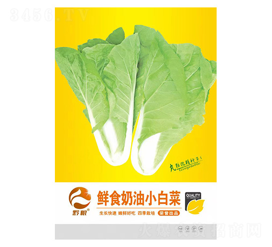 白菜種子-鮮食奶油小白菜-良籽農(nóng)業(yè)