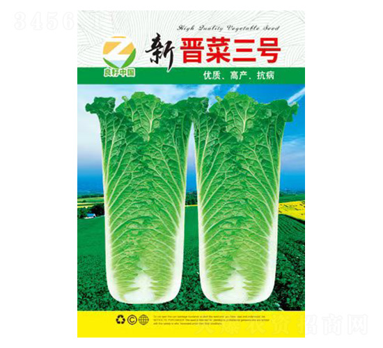 白菜種子-新晉菜三號(hào)-良籽農(nóng)業(yè)