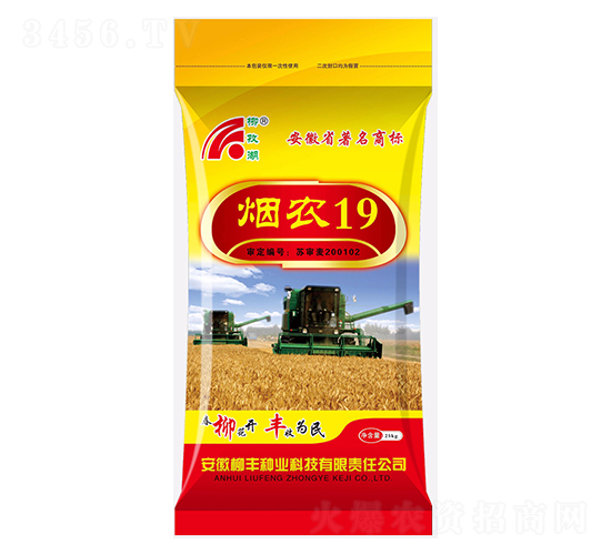 煙農(nóng)19小麥種子-柳豐種業(yè)