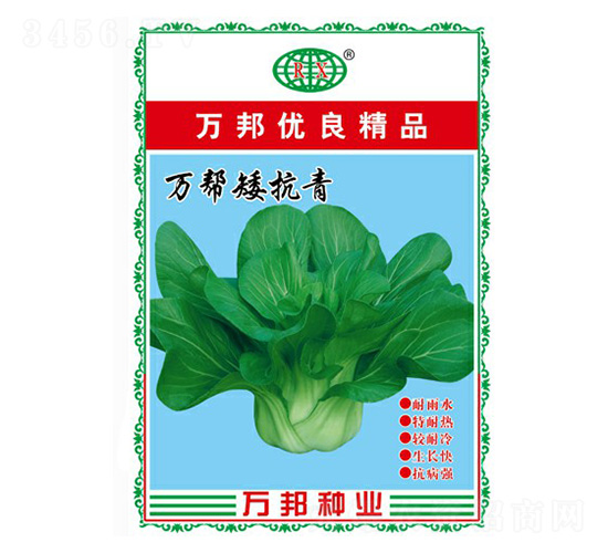 萬(wàn)幫矮抗青青梗菜種子-萬(wàn)邦種業(yè)