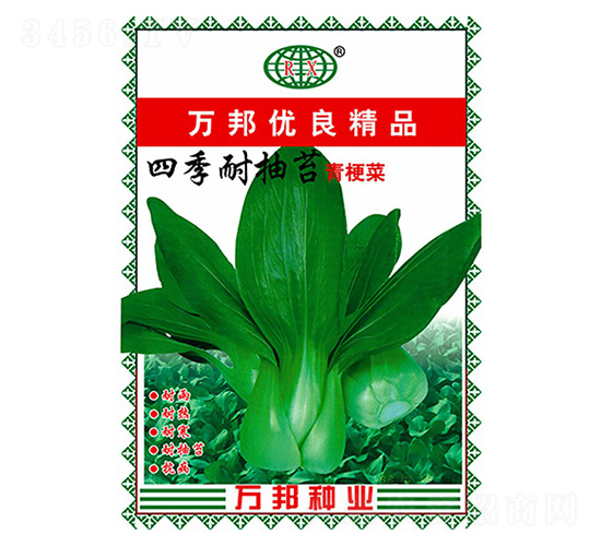 四季耐抽苔青梗菜種子-萬邦種業(yè)