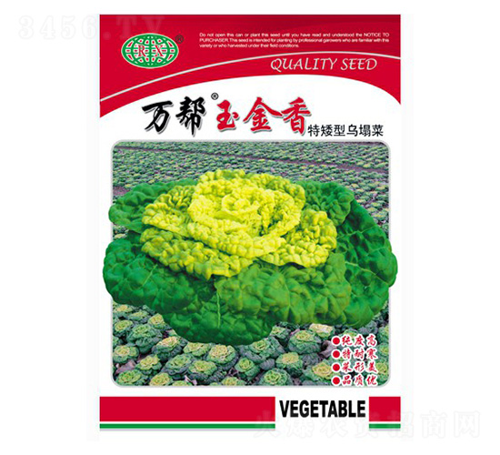 萬幫玉金香特矮型烏塌菜-烏塌菜種子-萬邦種業(yè)