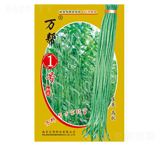 萬(wàn)幫1號(hào)豇豆種子-萬(wàn)邦種業(yè)