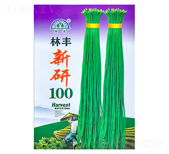 新研100-豇豆種子-陵豐種苗