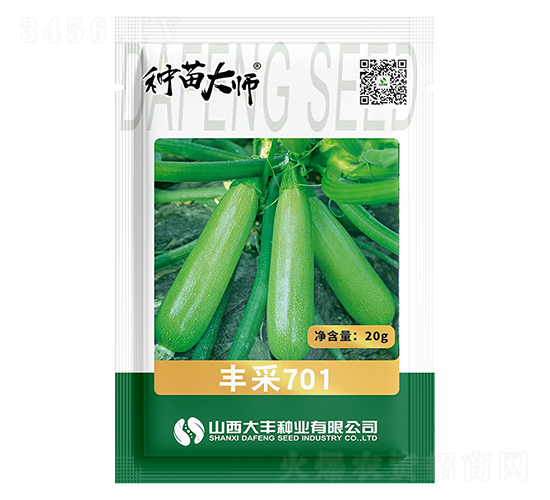 豐采701-西葫蘆種子-大豐種業(yè)