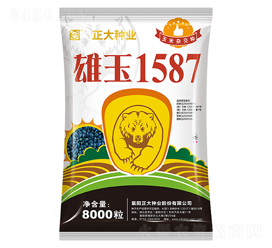 雄玉1587-玉米種子-正大種業(yè)