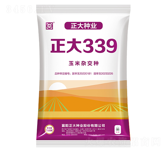 正大339-玉米種子-正大種業(yè)