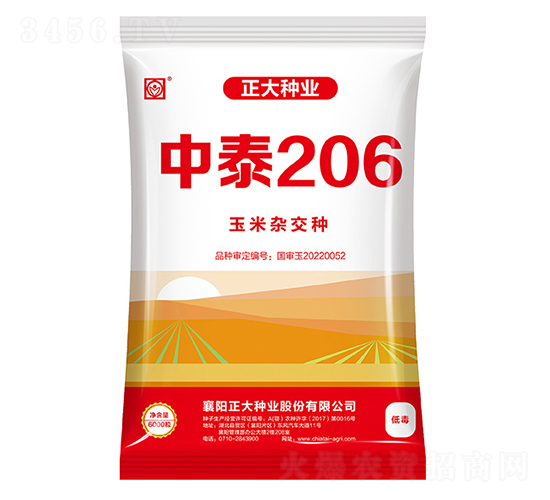 中泰206-玉米種子-正大種業(yè)