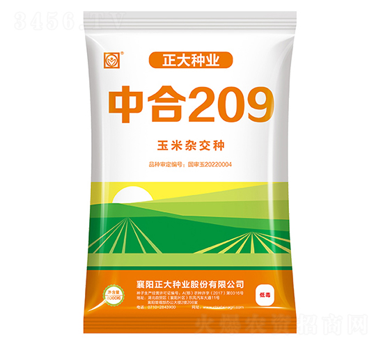 中合209-玉米種子-正大種業(yè)