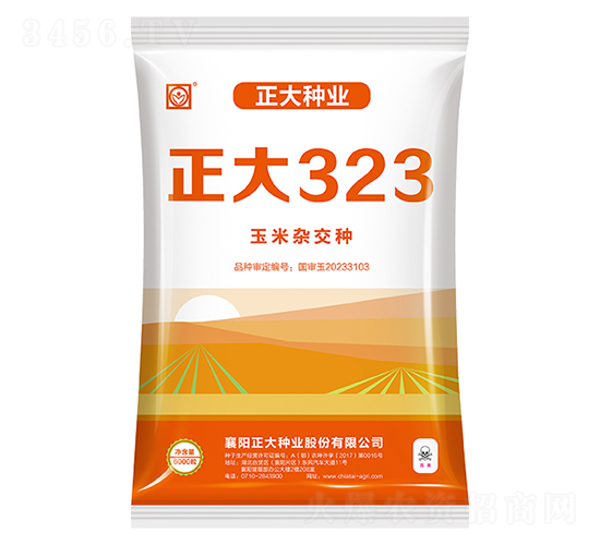 正大323-玉米種子-正大種業(yè)