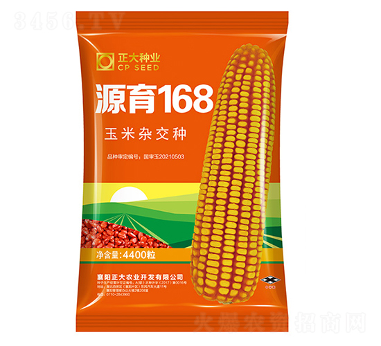 源育168-玉米種子-正大種業(yè)