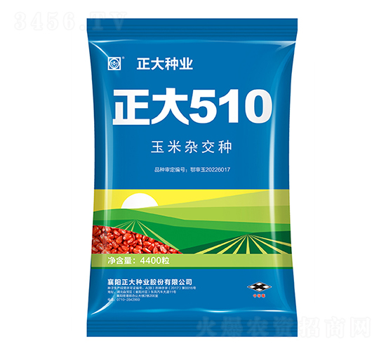 正大510-玉米種子-正大種業(yè)