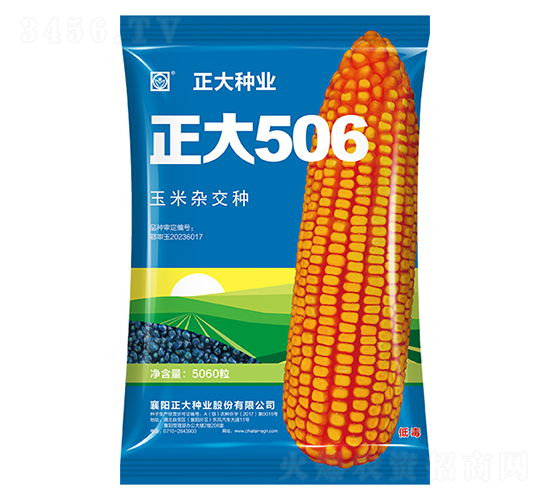 正大506-玉米種子-正大種業(yè)