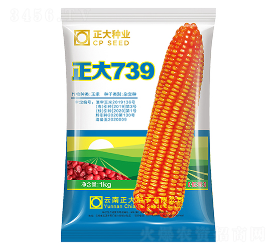 正大739-玉米種子-正大種業(yè)