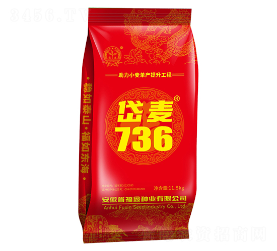 岱麥736小麥種子-福鑫種業(yè)