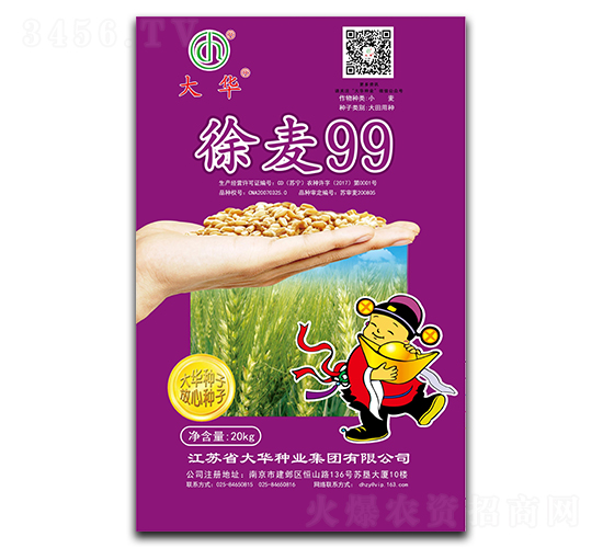 徐麥99-小麥種子-大華種業(yè)