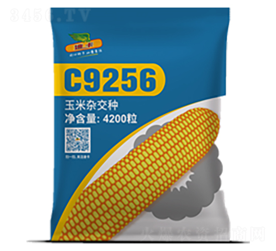 C9256-玉米種子