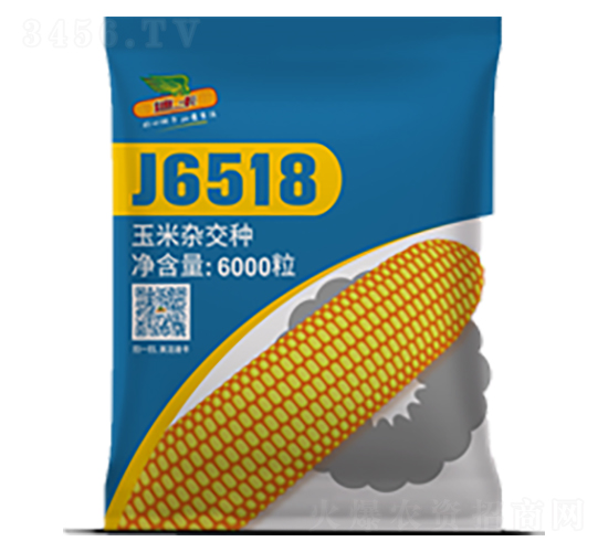 J6518-玉米種子