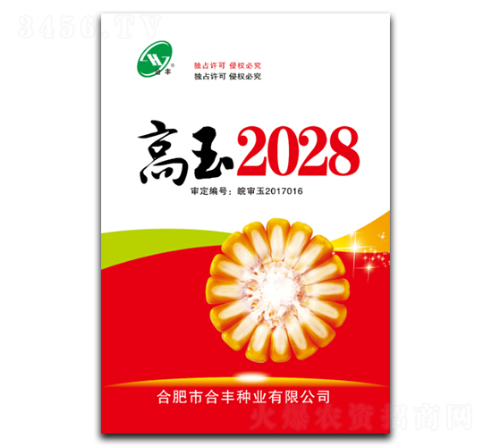 高玉2028-玉米種子-合豐種業(yè)