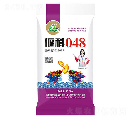 偃科048-小麥種-商都種業(yè)