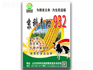 京科青貯932-玉米種子-金海農(nóng)創(chuàng)