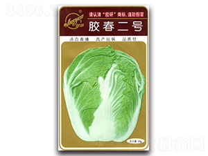 膠春二號(hào)-春播白菜種子-膠研