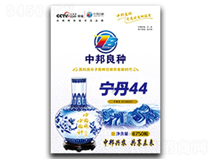 寧單44-玉米種子-中邦農(nóng)業(yè)