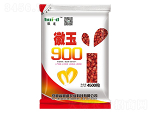 徽玉900-玉米種子-徽道農(nóng)業(yè)