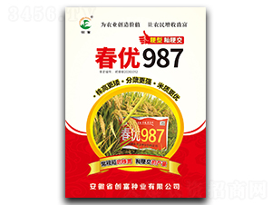 春優(yōu)987-水稻種子-創(chuàng)富種業(yè)