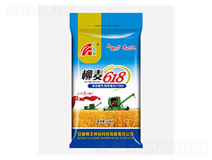 柳麥618（藍(lán)袋）-小麥種子-柳豐種業(yè)