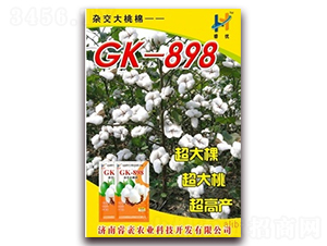 GK-898-޻N-(yu)rI(y)