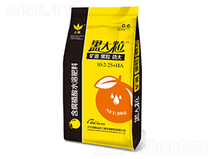 含腐植酸水溶肥料10-2-25+HA-黑大粒-三微生物