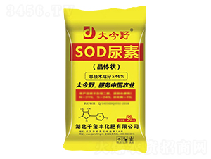 SOD尿素-大今野-千璽豐