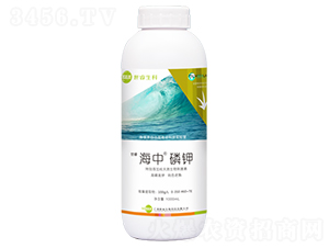 磷鉀有機(jī)水溶肥料-海中-世睿生物