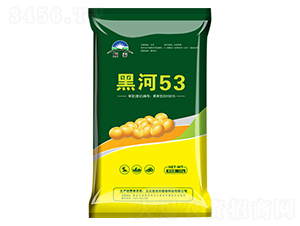 黑河53-大豆種子-順泰種業(yè)