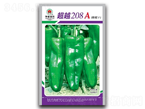 超越208A-辣椒種子-高科種業(yè)