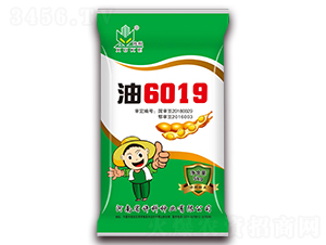 15kg油6019-大豆種子-許科種業(yè)