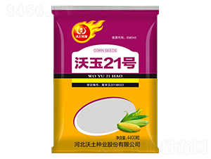 沃玉21號-玉米種子-沃土種業(yè)