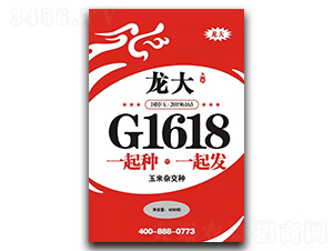 龍大G1618-玉米種子-龍大種業(yè)