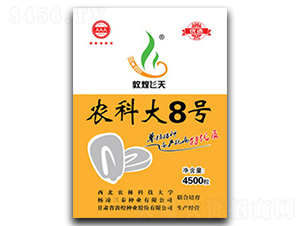 農(nóng)科大8號-玉米種子-敦煌種業(yè)