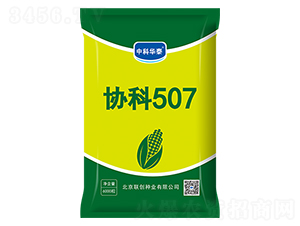 協(xié)科507-玉米種子-聯(lián)創(chuàng)種業(yè)