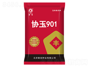 協(xié)玉901-玉米種子-聯(lián)創(chuàng)種業(yè)