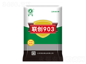 聯(lián)創(chuàng)903-玉米種子-聯(lián)創(chuàng)種業(yè)