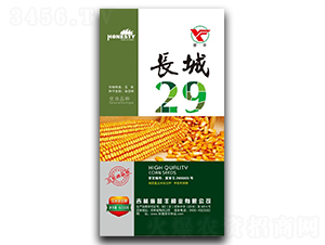 長城29-玉米種子-譽(yù)豐種業(yè)